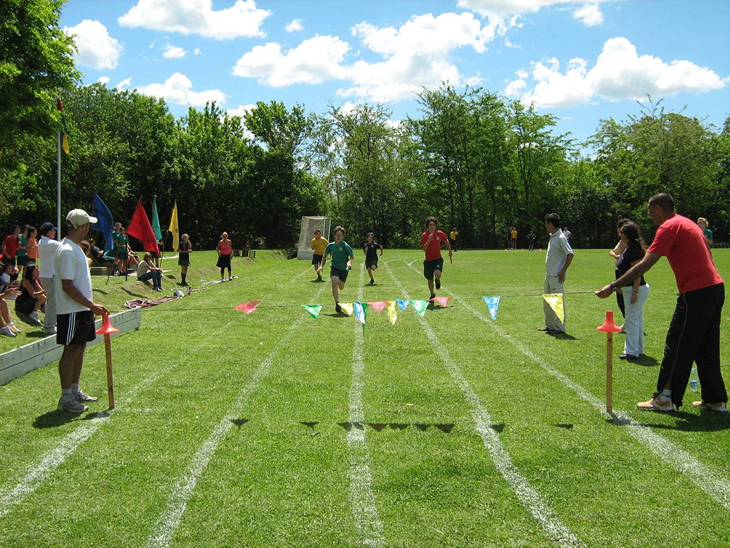 Deportes y educación física