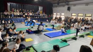 Muestras de iniciación en gimnasia deportiva